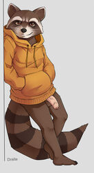 anthro balls bottomless clothed clothing draite guardians_of_the_galaxy hoodie humanoid_penis male male_only mammal marvel penis procyonid raccoon rocket_raccoon solo uncut