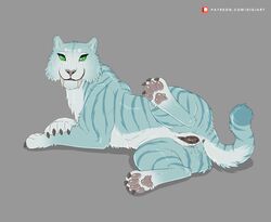 2018 anus blue_fur blue_stripes claws digitoxici feline feral fur green_eyes grey_background grey_nose looking_at_viewer mammal pawpads paws presenting presenting_pussy pussy pussy_juice saber-toothed_cat simple_background smile solo stripes suggestive teeth white_fur