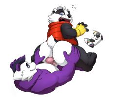 anthro anus ass badger bear belly big_butt black_body blue_eyes bradley_(bradley_the_badger) bradley_the_badger bradley_the_badger_(game) butt_grab clothing controller eye_contact fingerless_gloves fur genitals giant_panda gloves hair hand_on_butt handwear happy hi_res looking_at_another male male/male mammal multicolored_body multicolored_fur mustelid musteline nude panda panfluff_(xpanda6) penis purple_body purple_eyes seyrmo sitting_on_another slightly_chubby smile smiling_at_another smiling_at_partner surprised