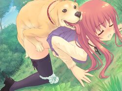 canine female okiyumi_kase one-lover pink_hair zoophilia