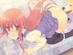 1girls all_fours ass brown_eyes canine cunnilingus cunnilingus_from_canine dog female female_focus okiyumi_kase one-lover oral panties panties_around_leg red_hair school_uniform thighhighs underwear x-ray zoophilia