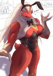 blaziken from nintendo by plache6