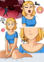 link from tears of the kingdom by punishedmosquito