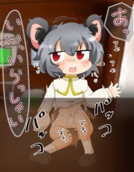 blush censored cookie_(touhou) desk gray_hair mouse_ears nazrin nyon_(cookie) penetration red_eyes shoes simple_background socks touhou translation_request utamaru_(arufa) vaginal_penetration