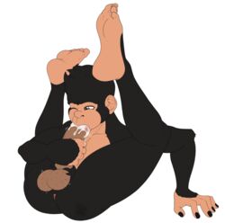 1male anthro anus_peek ape autofellatio balls bent_double black_fingernails black_fur blackbear brown_eyes cheek_bulge chimpanzee clyde_(blackbear) cock_gobble cock_hungry cum cum_hungry cum_in_own_mouth erection exposed_anus feet_above_head giving_head going_down_on hairy_balls holding_penis male male_only mammal masturbation monkey one_eye_closed oral_masturbation oral_sex penile_masturbation penis penis_in_own_mouth primate puckered_anus self_suck solo sucking_self_off white_background