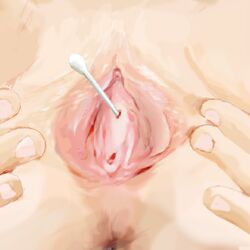 anus close-up cotton_swab enshi_(ency) female female_urethral_insertion lowres object_insertion pussy spread_pussy uncensored urethra urethral_insertion