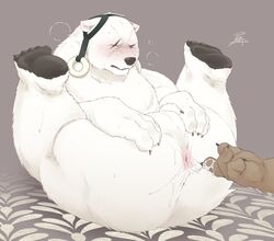 anus ass balls black_nose blush brown_fur crushfang_(sdorica_sunset) cum fingering fur humanoid_hands male mammal mohumohuotou okatana overweight overweight_male polar_bear privateotou scar sdorica_sunset simple_background ursine white_fur yaoi