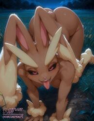 lopunny from pokemon