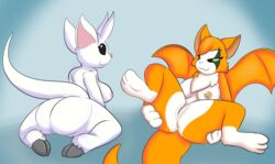 2018 anthro anus big_ears breasts clitoris duo dust:_an_elysian_tail female fidget fur multicolored_fur orange_fur ori ori_(series) ori_and_the_blind_forest presenting pussy simple_background spread_legs spreading starit two_tone_fur video_games white_fur