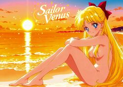 minako aino from adult swim by pete publishing
