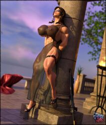 lara croft from tomb raider by zeblacktiger
