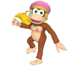 dixie kong from donkey kong (series)