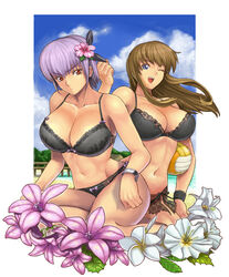 2girls ayane_(doa) bikini brown_hair dead_or_alive hitomi_(doa) huge_breasts ibanen multiple_girls