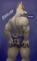 2018 ass canine clothing dialogue glitter_trap_boy invalid_tag male male_only mammal original original_character simple_background solo underwear