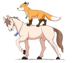 2017 2boys animal_genitalia balls canine duo equine feral fox fully_sheathed fur furry furry_only horse junior_horse looking_back male male_only mammal manmosu_marimo senior_fox sheath simple_background tail white_background