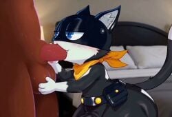 ai_generated animated anthro ass balls belt black_body black_fur black_genitals blue_eyes brown_genitals dark_body dark_skin domestic_cat duo erection felid feline felis fellatio fur genitals hellsonger human interspecies kerchief male male/male male_anthro mammal markings mask morgana_(persona) oral penetration penile penis sex short_playtime tagme tail tail_markings tuxedo_cat video white_body white_fur