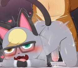 0227 2boys anal anal_sex animal_crossing anthro blush cum cum_in_ass cum_inside doggy_style domestic_cat fangs feline gay glasses male male/male male_only nintendo open_mouth raccoon raymond_(animal_crossing) sex tom_nook tongue yaoi