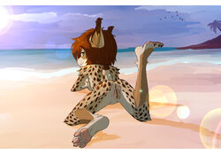 ass beach breasts felid feline female hair hi_res kerrydark looking_back lynx mammal nude pawpads paws presenting presenting_hindquarters presenting_pussy pussy seaside short_hair short_tail small_breasts summer teenager young zaire_(nightdancer)