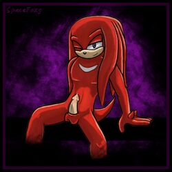 anthro balls echidna front_view fur knuckles_the_echidna male male_only mammal monotreme nude penis sega sitting solo sonic_(series) sonic_3 sonic_team sonic_the_hedgehog_3 spacefoxy straight_hair tagme