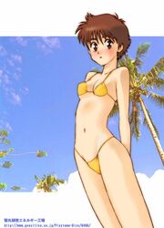 1990s 1999 1girls 20th_century bikini blush breasts brown_hair clothing female human kikumaru_bunta light-skinned_female light_skin medium_breasts noa_izumi patlabor pointy_chin police policewoman short_hair solo swimsuit tomboy very_short_hair white_background