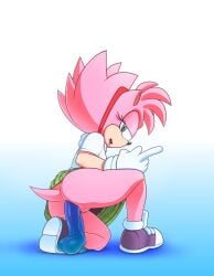 amy rose from classic sonic (universe) by anon0567