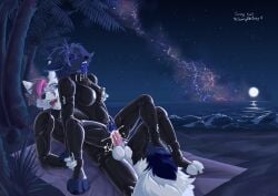 absurd_res anthro bodily_fluids canid canine cum duo female fox genital_fluids hi_res latex male male/female mammal night sanynebeystoll star