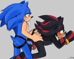 shadow the hedgehog from sega