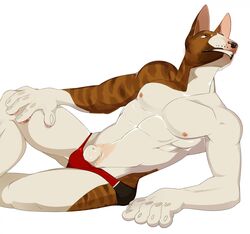 2017 5_fingers abs animal_genitalia anthro arm_support biped black_nose brown_eyes brown_fur brown_stripes bull_terrier canine claws clothed clothing fully_sheathed fur hand_on_leg hi_res joojoo leaning_on_elbow male male_only mammal multicolored_fur muscular muscular_male nipples pecs pink_nipples pinup pose reclining royce_(hurst) sheath simple_background smile solo speedo striped_fur stripes swimsuit teeth terrier topless white_background white_claws white_fur