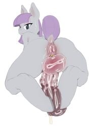 maud pie (mlp) from friendship is magic by musikalgenius