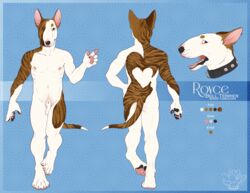 2017 4_toes 5_fingers animal_genitalia anthro balls barefoot biped black_nose blue_background brown_fur brown_stripes brown_tail bull_terrier canine claws collar color_swatch ear_piercing fully_sheathed fur keedot looking_at_viewer male mammal model_sheet multicolored_fur multicolored_tail nipples nude open_mouth orange_eyes pawpads piercing pink_nipples royce_(hurst) sheath simple_background solo standing striped_fur striped_tail stripes terrier toe_claws toes white_balls white_claws white_fur white_tail