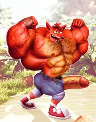 abs anthro armpit_hair ass bandicoot beach belt biceps big_butt big_penis body_hair butt chest_hair clothed clothing crash_(series) crash_bandicoot detailed detailed_background dirtyyeen erect_penis erection fingerless_gloves flexing footwear fur furry furry_only gloves grass green_eyes hair hi_res humanoid_penis hyper hyper_muscles hyper_penis jeans legwear looking_at_viewer male male_only mammal marsupial mezcal muscular muscular_male nipples open_mouth orange_fur outside pants pecs penis pubes seaside shoegaze. shoes shorts solo standing teeth thick_penis tight_shorts tongue tongue_out topless unzipped vein veiny_penis video_games