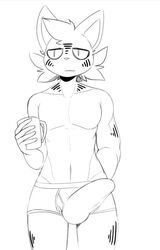 1boy anthro aronhilistix briefs bulge clothing cup erection erection_under_clothes feline greyscale looking_at_viewer male male_only mammal monochrome solo standing underwear