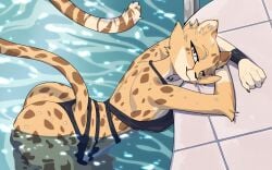16:10 2025 akino_(el-k) anthro arching_back ass athletic athletic_female bikini_bottom bikini_top cheetah digital_media_(artwork) felid feline female fit fit_female hi_res looking_at_viewer mammal nulia solo tagme water widescreen