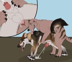 2022 anal anal_orgasm anal_sex animal_genitalia animal_penis balls bodily_fluids canid canine canine_genitalia canine_penis canis cum cum_inside cum_while_penetrated cutaway duo ejaculation erection feral feral_on_feral feral_penetrated feral_penetrating feral_penetrating_feral genital_fluids genitals hands-free hi_res hybrid interspecies knot_in_sheath male male/male male_penetrated male_penetrating male_penetrating_male mammal orgasm penetration penis sex sheath simple_background steve_(dispersedwolf0949) thhylacine thylus wolfdog zotz_(artist)