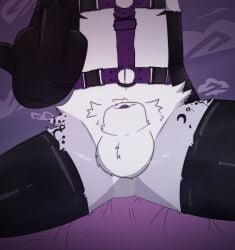 animal_genitalia anthro bondage clothing felid feline fully_sheathed fur genitals gesture gloves hand_gesture handwear harness hi_res karmdraws kipanya_(karmdraws) latex latex_clothing latex_gloves latex_handwear legwear male mammal middle_finger penis penis_tip sheath solo steam thigh_highs trans_(lore) white_body white_fur