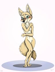 3_toes aliya_sari_(readerno31142) blush breasts canine covering disney embarrassed female fox mammal navel nude pussy small_breasts solo toes ziegelzeig zootopia