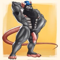 1:1 2021 abs anthro areola armpit_hair artist_name balls barazoku beard biceps big_muscles big_penis biped black_hair body_hair chest_hair claws clothing coach_mika colored facial_hair feet fingers fist flaccid front_view full-length_portrait fur genitals glans grey_body grey_fur hair hand_behind_head happy_trail hat hat_only headgear headgear_only headwear headwear_only hi_res humanoid_feet humanoid_genitalia humanoid_penis long_tail looking_at_viewer male mammal mostly_nude mostly_nude_male murid murine muscular muscular_anthro muscular_arms muscular_legs muscular_male nipples pecs penis pinup plantigrade portrait pose pubes rat rat_tail rodent seductive simple_background smile smirk solo standing tail text toe_claws toes tonhawk vein veiny_penis whistle_(object) yellow_eyes