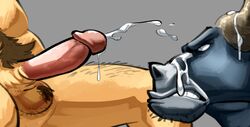 2boys after_sex angry anthro balls body_hair chief_bogo cum cum_on_face cumshot disney doost duo erection facial_hair gay hi_res humanoid_penis male male_only orgasm penis pubes sex teeth yaoi zootopia