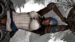 1boy 3d armor bush dark-skinned_female deathhandsfm doggy_style dragon_age dragon_age_2 female isabela pirate rape