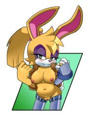 bunnie rabbot from sonic (series) by leatherruffian