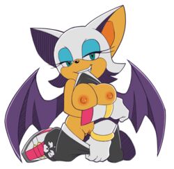 rouge the bat from sonic (series) by leatherruffian