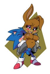 1boy 1girls anthro anthro_on_anthro anthro_only balls breasts bunnie_rabbot carrying classic_sonic classic_sonic_(universe) exposed_torso footwear handwear humanoid leatherruffian lifted nipples penis pussy sex sonic_(series) sonic_the_hedgehog sonic_the_hedgehog_(series) vaginal vaginal_penetration