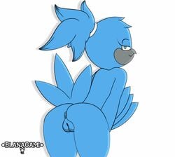 animated anthro anus ass avian beak bird blanagami blue_eyes blue_hair feathers female hair looking_at_viewer nude presenting puffy_anus pussy shaking_butt simple_background smile solo tweetfur twitter wings