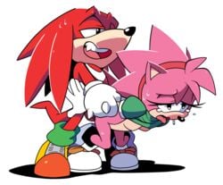 amy_rose balls bottomless breasts classic_amy_rose clothing exposed_torso female footwear from_behind handwear humanoid knuckles_the_echidna leatherruffian male open_mouth penetration rape sega shirt shirt_lift sonic_(series) sonic_cd sonic_the_hedgehog_(series) spread_legs tears vaginal_penetration