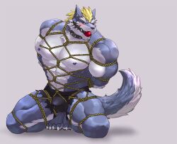 4_toes anthro biceps blonde_hair blue_body blue_eyes blue_fur blush bulge canid canine canis fangs feet fenrir_(tas) fur grey_background hair heart_symbol lifewonders male mammal muscular muscular_anthro muscular_arms muscular_legs muscular_male pecs sharky_potato simple_background solo tail teeth toes tokyo_afterschool_summoners white_body white_fur wolf