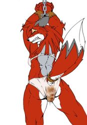 Anthro Rule 34 Image