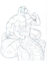 1boy 4_arms 5_eyes abs anthro diphallia diphallism gingatokkyu human_to_anthro hybrid male male_focus male_only mammal multi_arm multi_eye multi_limb multi_pec multi_penis muscular muscular_male naga penis post_transformation reptile scalie slime snake solo solo_focus transformation ursine