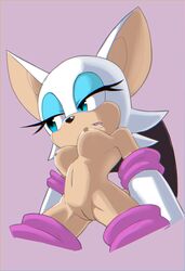 breasts nipples pussy rouge_the_bat sonic_(series) カルキ