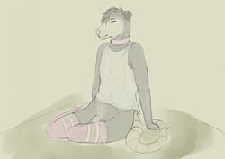 2019 anthro biped brown_fur brown_hair clothed clothing collar dustybeau_(artist) flaccid front_view full-length_portrait fur grey_background hair legwear looking_at_viewer male male_only mammal marsupial opossum penis pink_clothing pink_legwear pink_nose pink_stockings portrait shirt short_hair simple_background sitting smile solo stockings tank_top whiskers