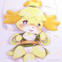 1girls animal_crossing anthro blonde_hair breasts canine chubby dated feet female female_only furry furuya_muku heavy_breathing isabelle_(animal_crossing) nintendo nipples paws purple_eyes pussy short_hair shortstack small_breasts text uncensored watermark